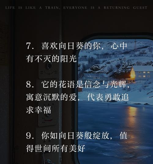 太阳花的花语有哪些？哪种花语是最好的？