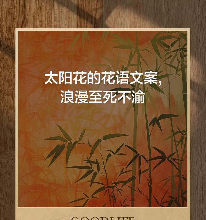 太阳花的花语有哪些？哪种花语是最好的？