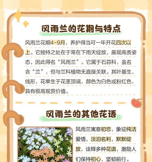 哪种花的花语是坚强不屈？这种花象征着什么？