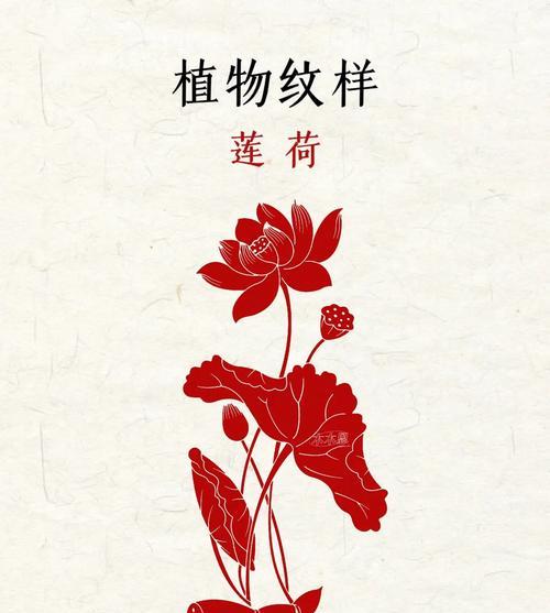 红色荷花的花语是什么？红色荷花象征着什么？