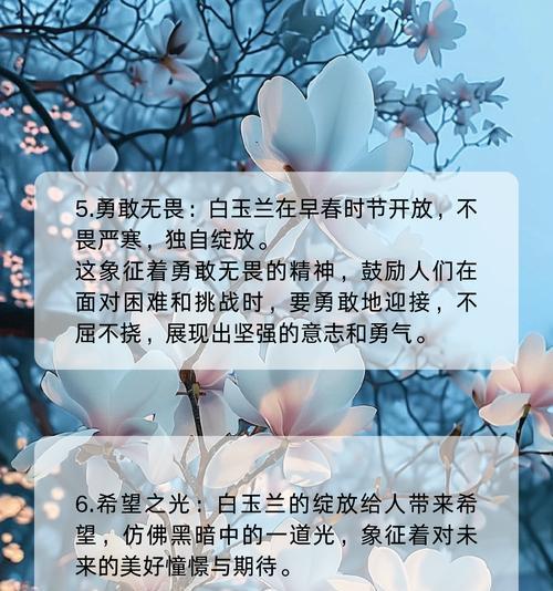 表达感谢的花和花语大全是什么？哪种花最适合表达感激？