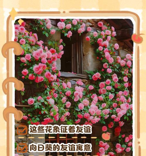 不同花语代表了什么？花语有哪些不同的含义？