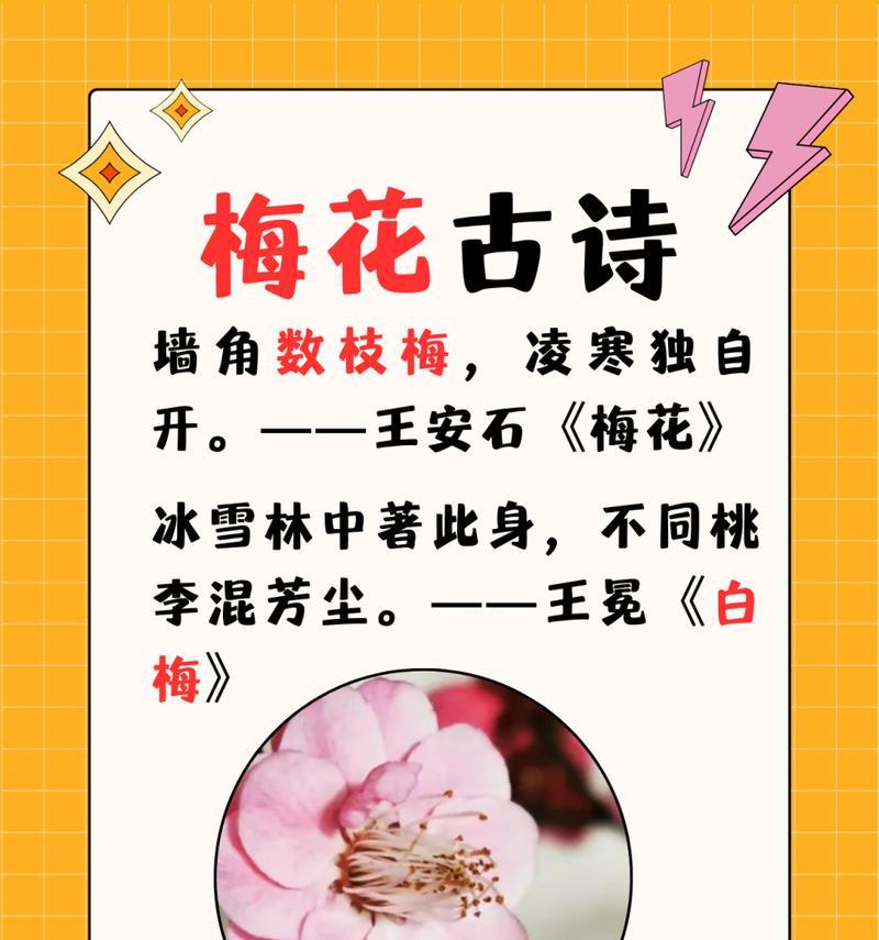 梅花树的花语有哪些特点？