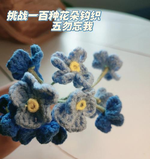 母忘我的花语有哪些寓意？