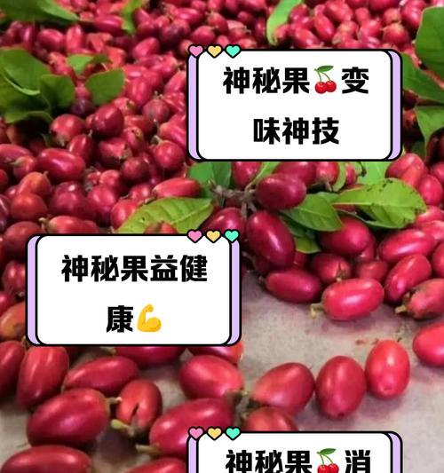 神秘果的花语是什么？神秘果背后有哪些传说或故事？