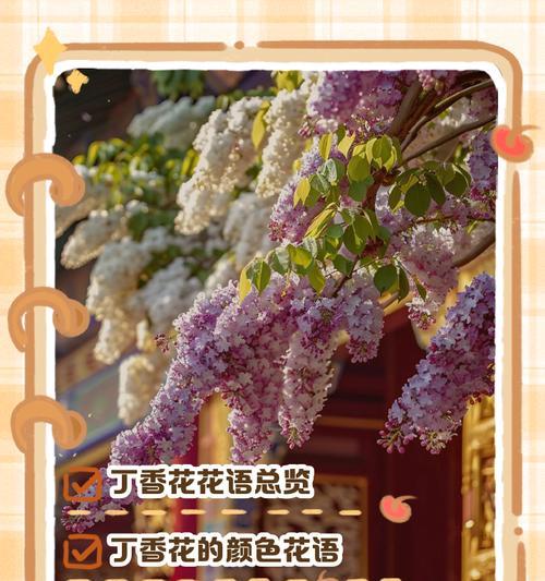 花语和象征有哪些？如何解读花的花语和象征？