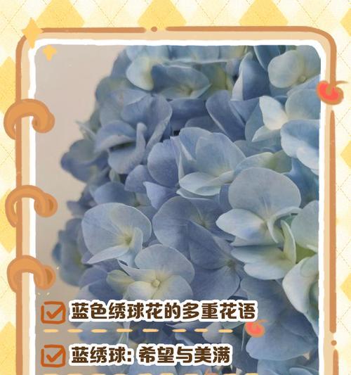花语和象征有哪些？如何解读花的花语和象征？