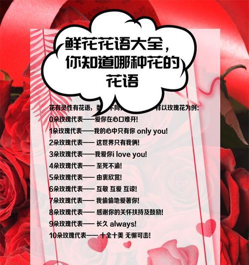 关于花和花语的故事有哪些？花语背后有哪些故事？