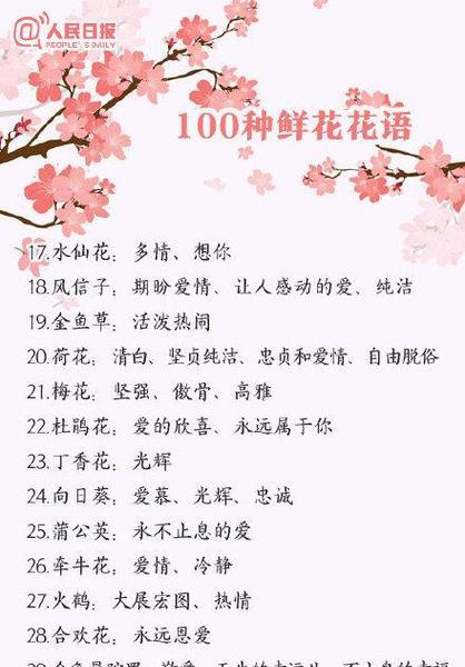 关于花和花语的故事有哪些？花语背后有哪些故事？
