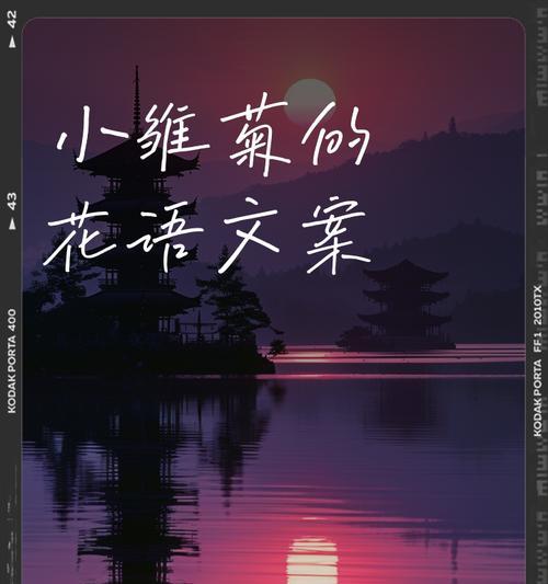 雏菊的花语代表初恋吗？它还有哪些含义？