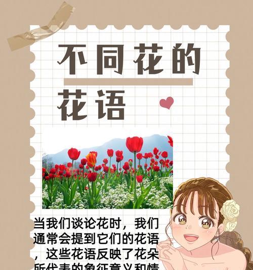 哪些花代表优雅的花语？