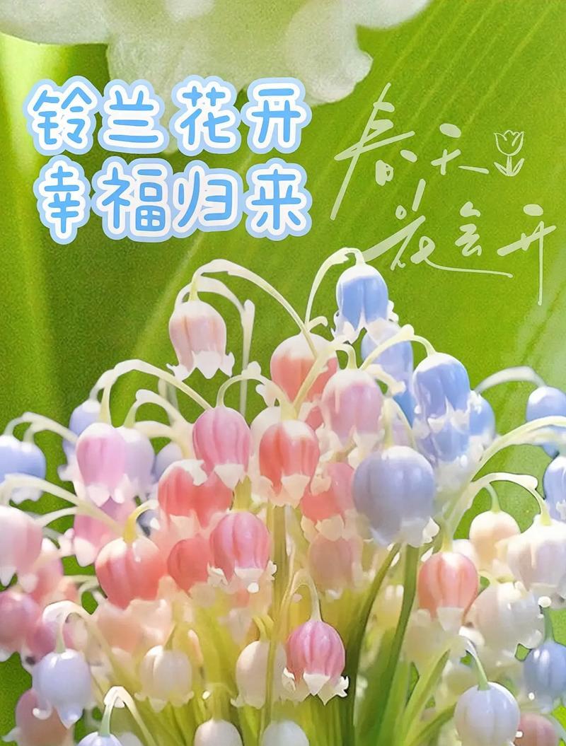 哪种花的花语象征幸福？