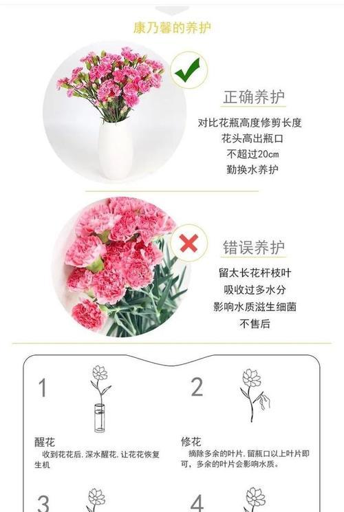 茉莉鲜切花的正确养护方法是什么？