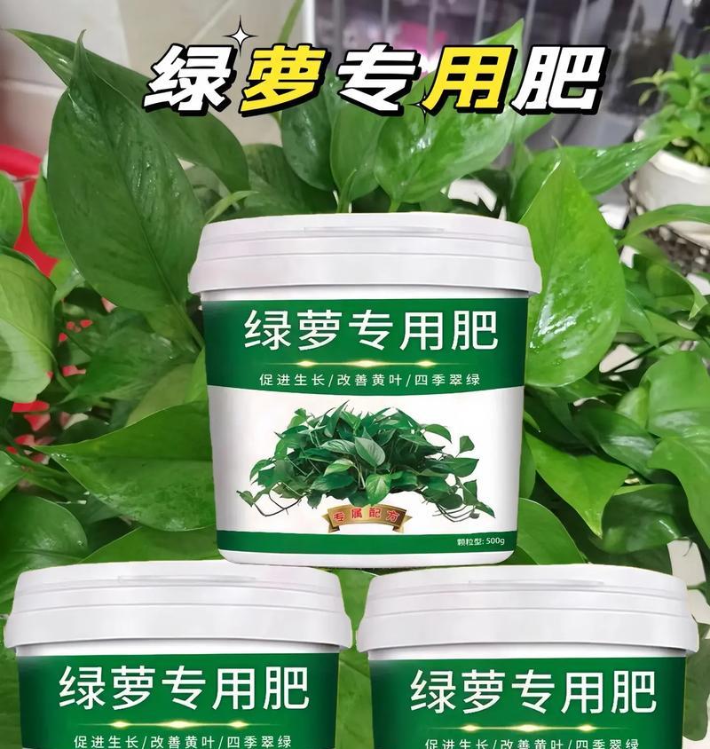 绿萝生长需要哪种肥料？