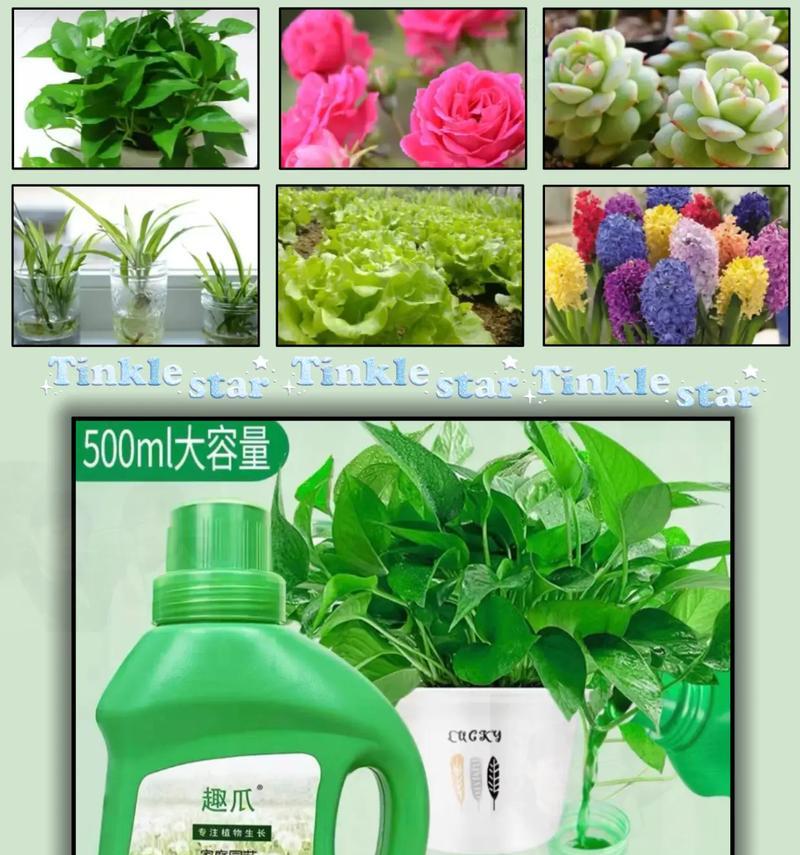 绿萝生长需要哪种肥料？