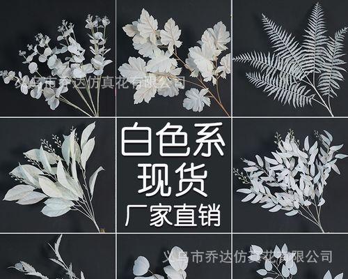 插花中常用的叶子有哪些？