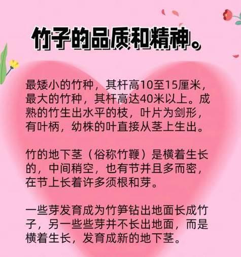 竹子栽培的秘诀是什么？如何提高竹子的成活率？