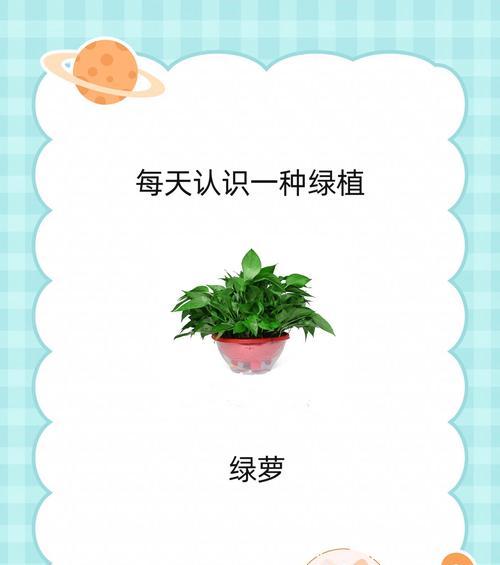 绿箩水养方法是什么？如何保持其生长旺盛？