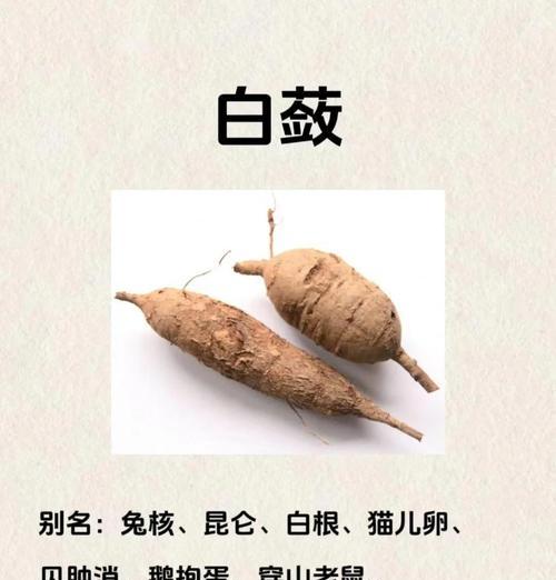 常见的木本植物有哪些？它们的生长环境和特点是什么？