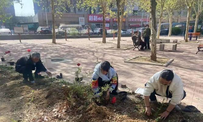 花苗浇水的正确方法是什么？如何避免过量或不足？