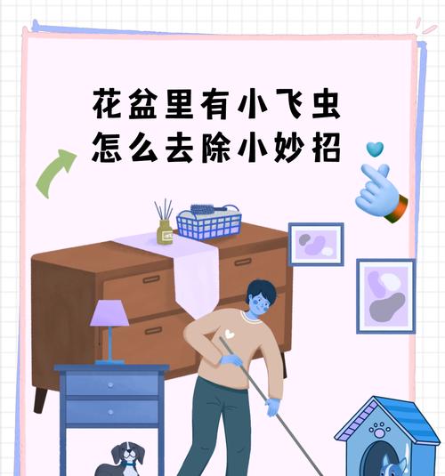 花土有小飞虫怎么办？如何彻底清除？