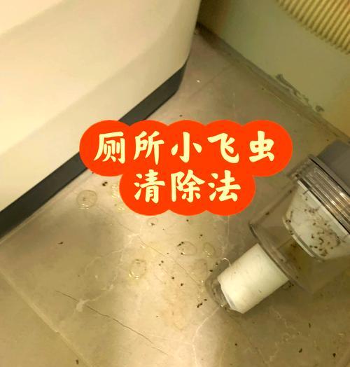 花土有小飞虫怎么办？如何彻底清除？