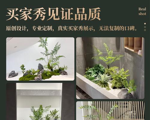 盆景长青苔的秘诀是什么？
