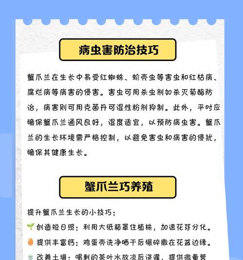 谢爪兰怎么养？家庭养护的正确方法是什么？