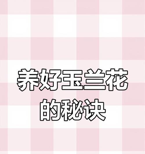 玉兰花养殖方法有哪些？
