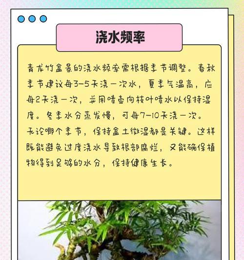 竹子的养殖方法是什么？如何防止竹子倒伏？