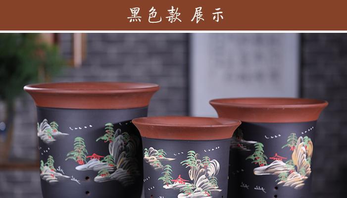 紫砂花盆种什么花好？紫砂盆适合种植哪些花卉？