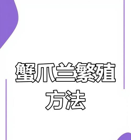 蟹爪兰插枝繁殖的步骤是什么？