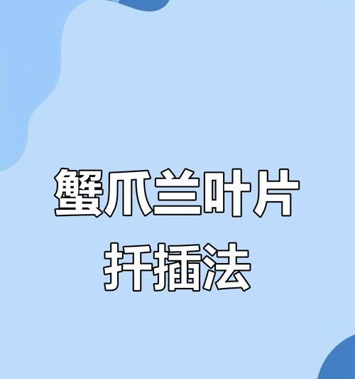 蟹爪兰插枝繁殖的步骤是什么？