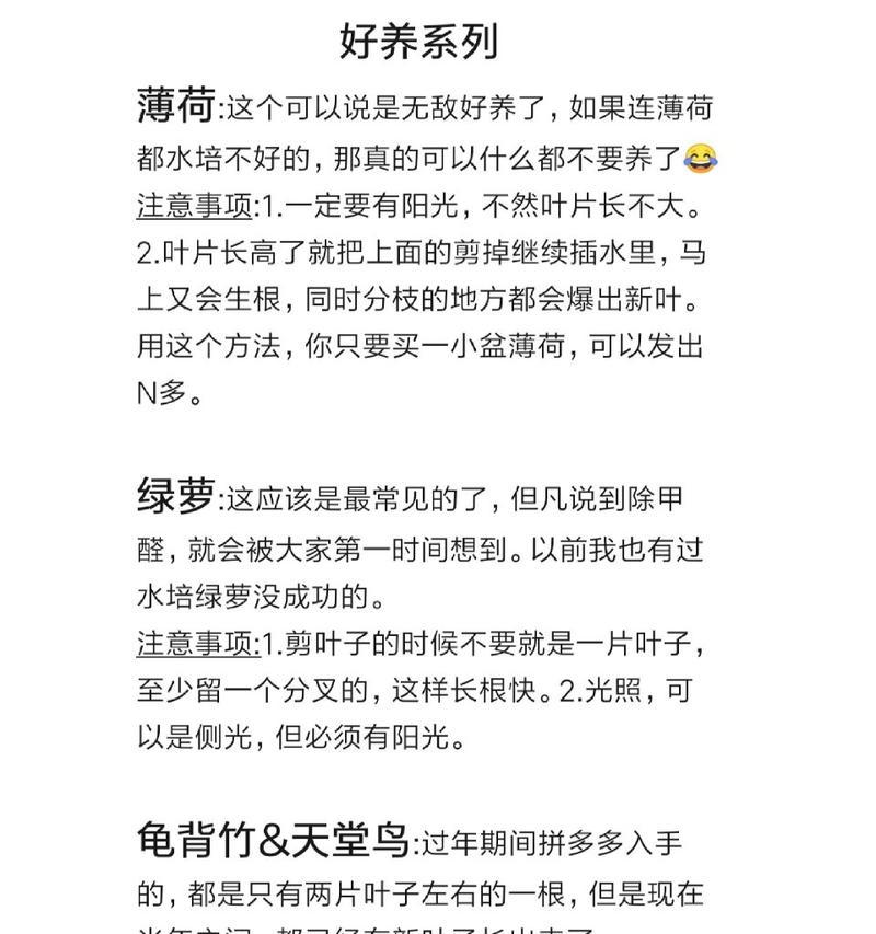 水培植物需要什么？水培系统的基本要求有哪些？