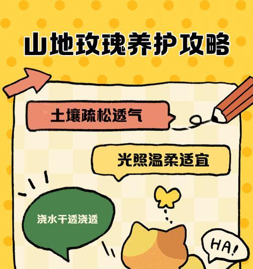 山地玫瑰生根的秘诀是什么？