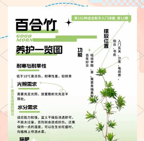 吉祥竹的养殖技巧有哪些？如何保持吉祥竹的健康生长？