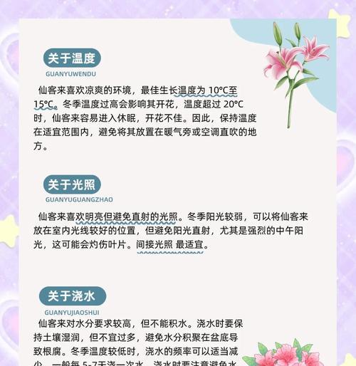 仙鹤来叶子黄怎么办？如何处理黄叶问题？