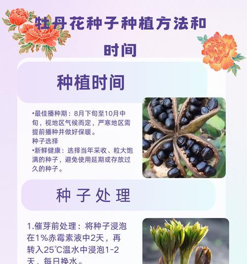 牡丹怎么修剪？修剪的最佳时间和步骤是什么？