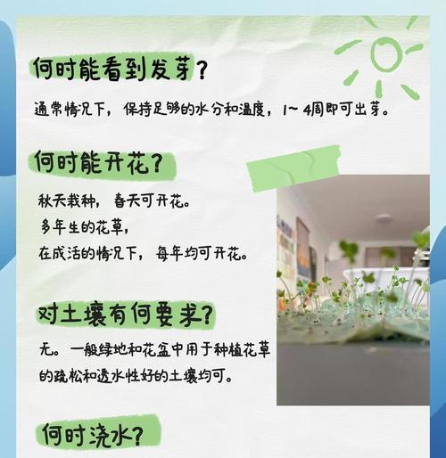 日日春种子种植步骤有哪些？