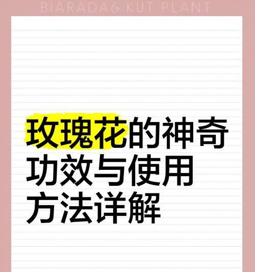 玖瑰花的养殖方法和常见问题解答？