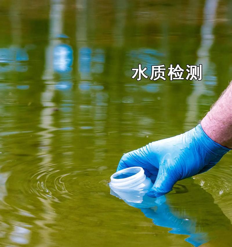 浇花时使用什么水最合适？不同水质对植物的影响如何？