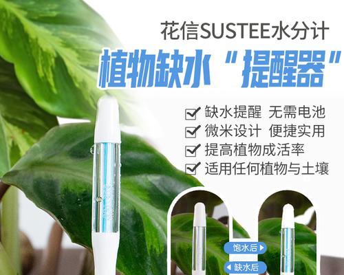 浇花时使用什么水最合适？不同水质对植物的影响如何？