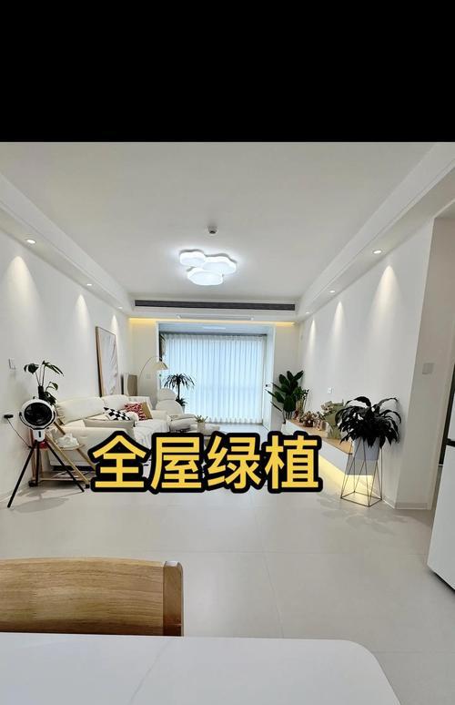 白掌叶尖干枯如何处理？恢复叶片生机的秘诀是什么？