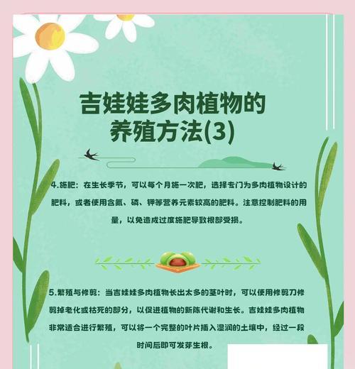 多内植物的养护技巧有哪些？