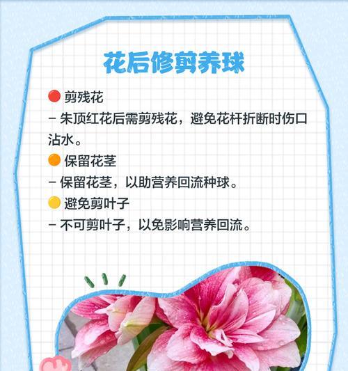 丹顶红的养殖环境和管理要点有哪些？