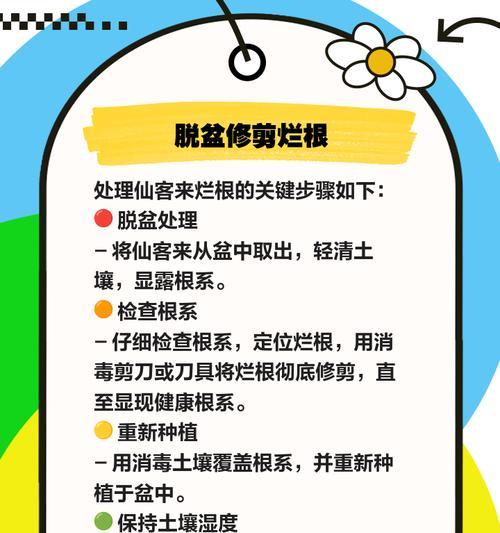 树木烂根后如何进行有效补救？