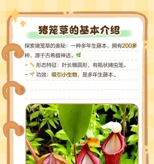 猪笼草有多少品种？各自的捕虫特点是什么？