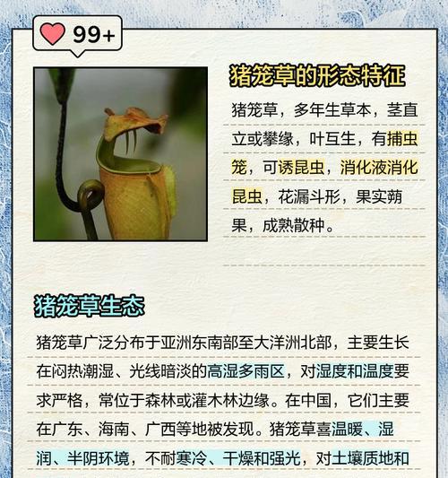 猪笼草有多少品种？各自的捕虫特点是什么？