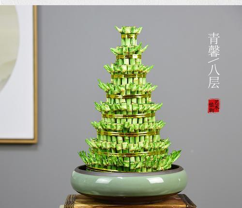 富贵竹水培繁殖方法是什么？