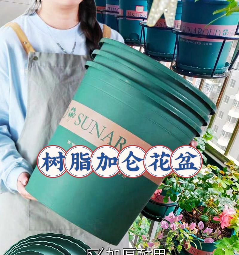 加仑花盆是什么？它有什么特点？